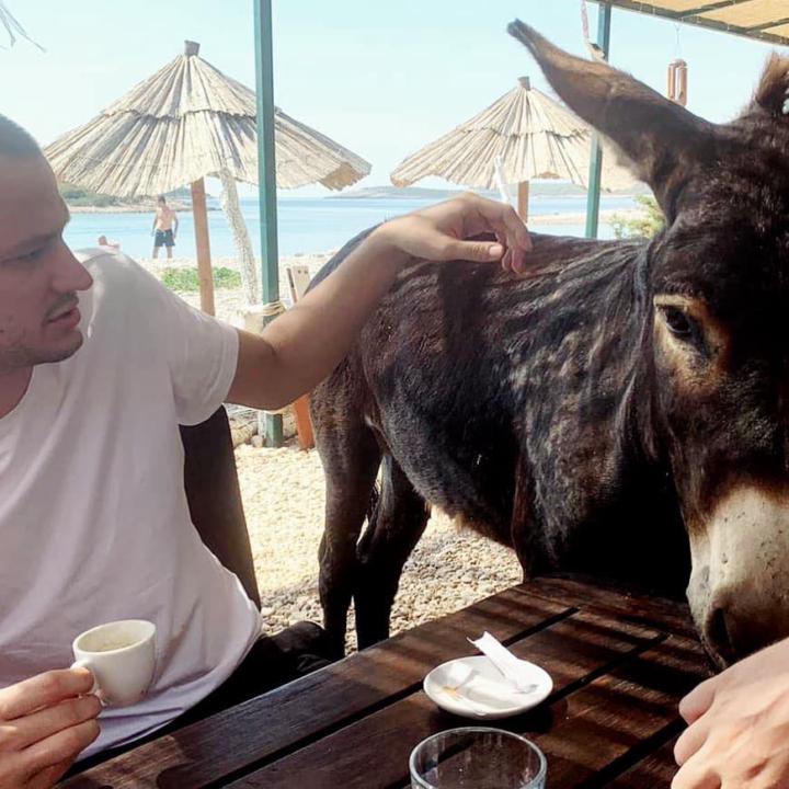 Nemanja Krecelj