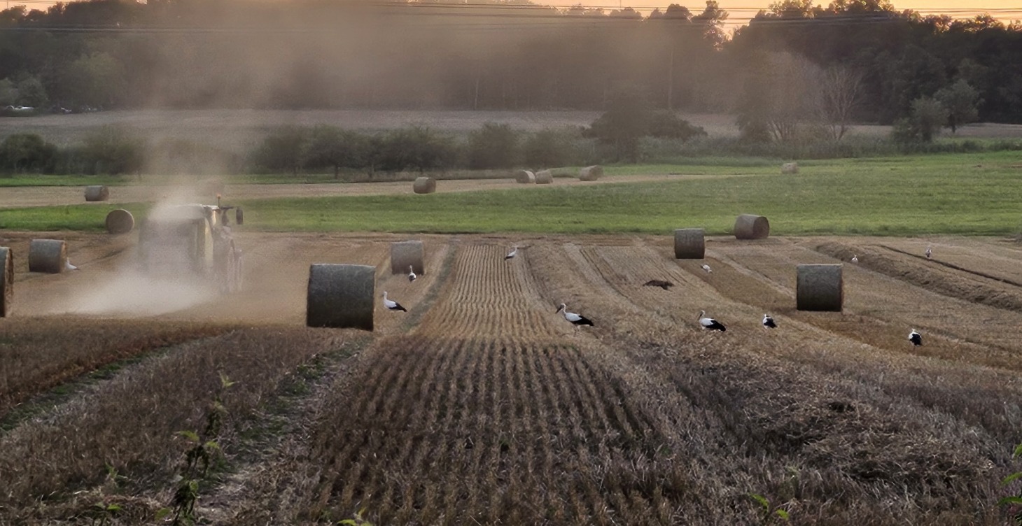 Landwirtschaft