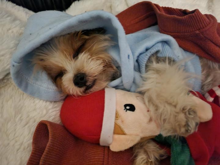 ADHD SESSION: Thoughts and Reflections