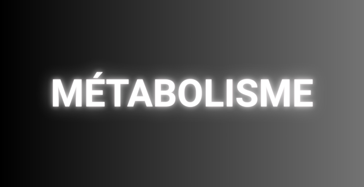 MODULE 2 – MÉTABOLISME, CALORIES & DÉFICIT