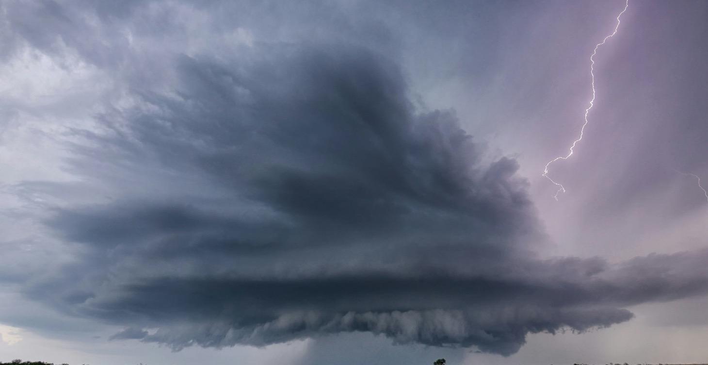 Menopause and the 5 Elements Masterclass