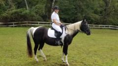 Wendy Elwell