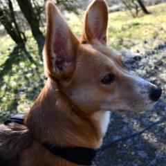 Nathalie Adriaenssens