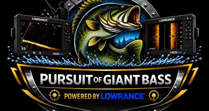 Pursuit Of Giant Bass