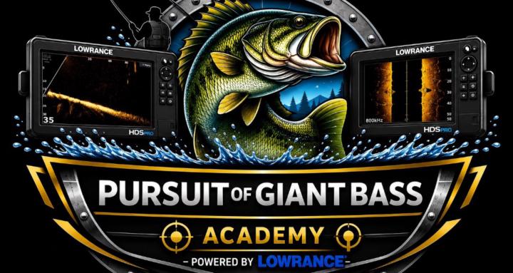 Pursuit Of Giant Bass