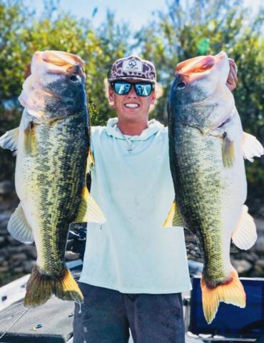 Pursuit Of Giant Bass gallery image