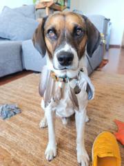 Juan Miguel Gutiérrez Gajardo