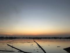 Huyền Sương Nguyễn