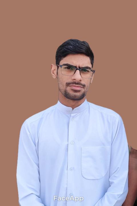 Hassan Habeeb Salman