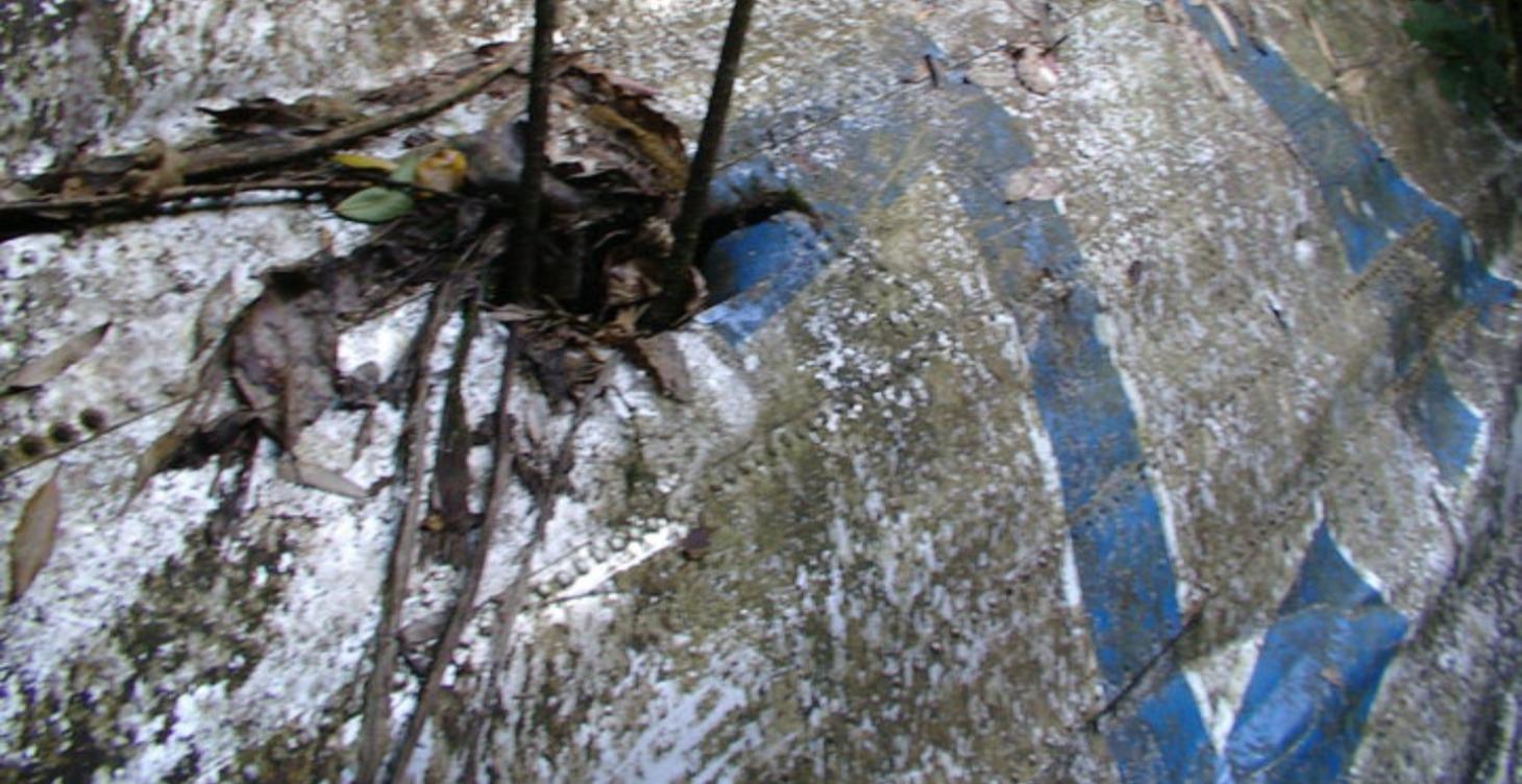 Hike to a DC3 crash site