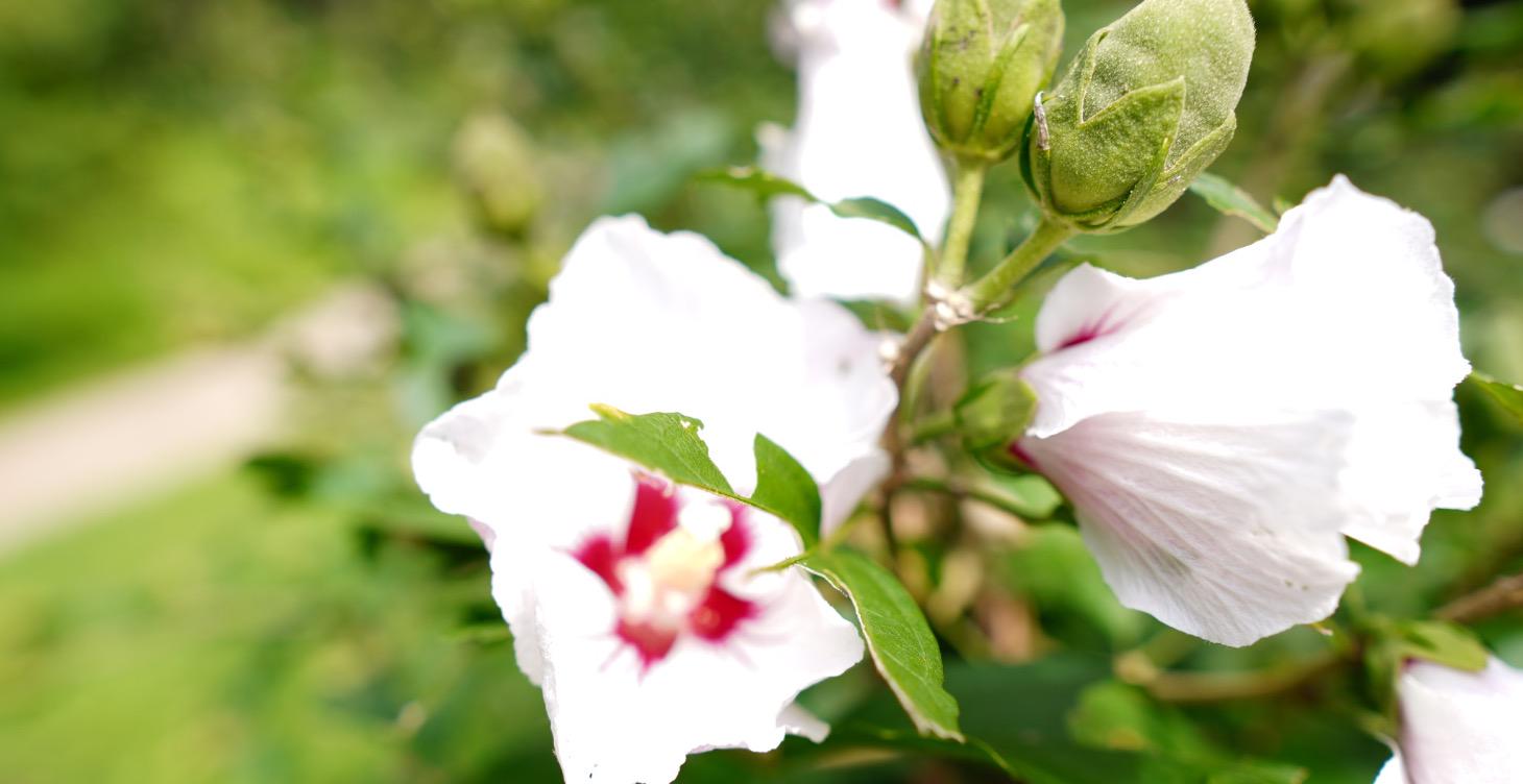 How to sit with your emotions (the right way)