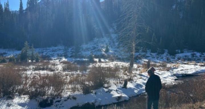 Sovereign Healing Haven