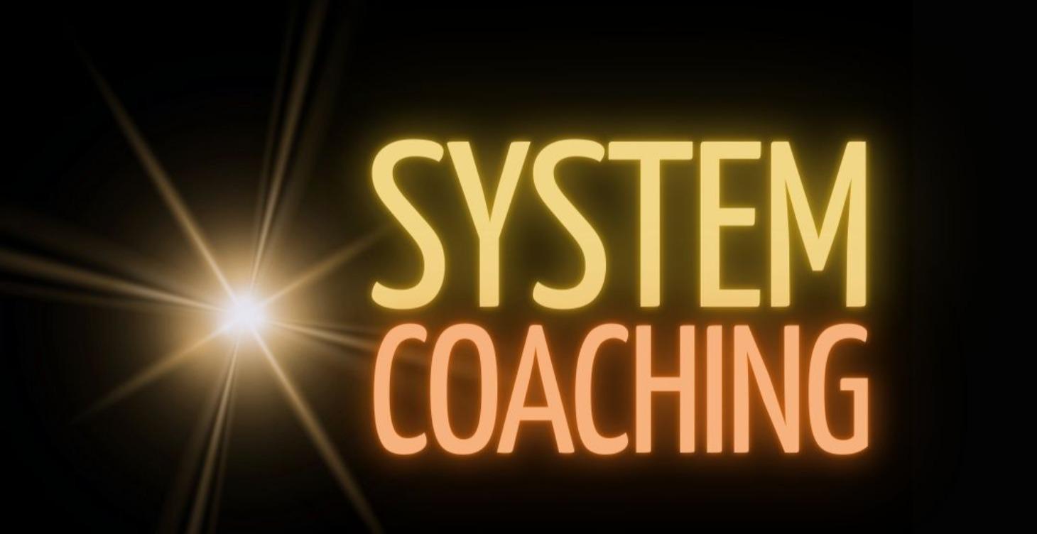 System Coaching
