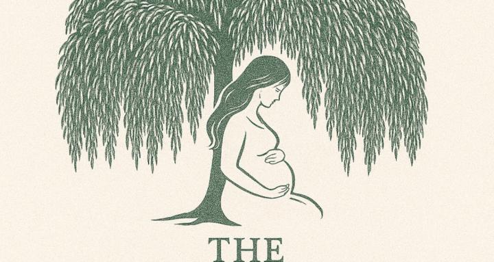 The Wellness Willow 