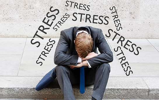 #13 Wisdom of the day: Stress 