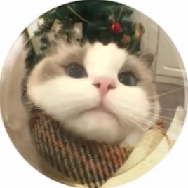 湘芹 林