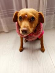 Yisel Andrea Barrera