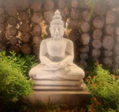 Akash M