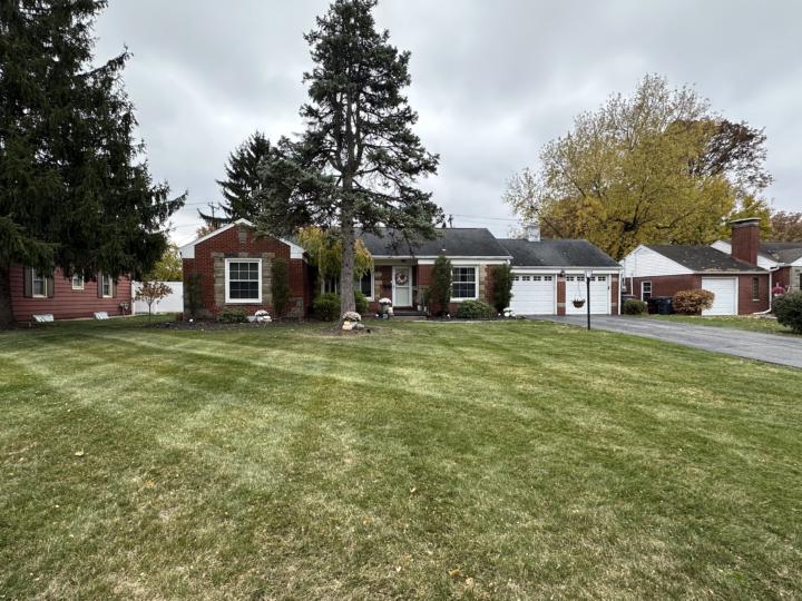 How did everyone’s fall clean up go?