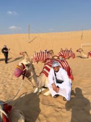 Haidar Elbadry