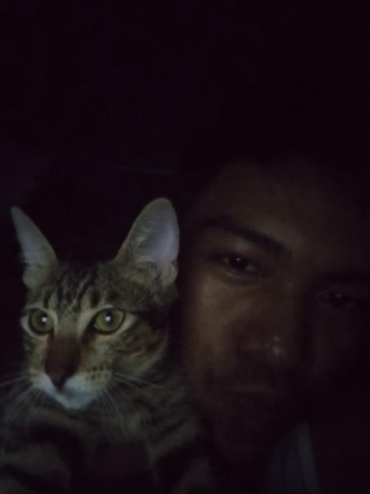 Percival Jr. Cc