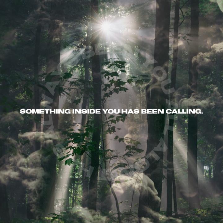 Nervous System Navigation