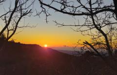 Marta Esgueva Hombrados