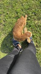 Kaleu manuel Garcia Shinieder