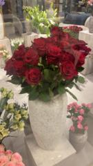 Abeer Ali