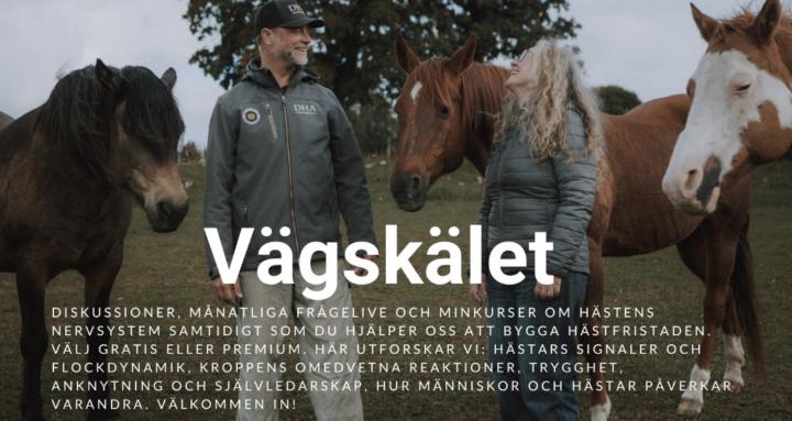 Vägskälet - Din Egen Väg