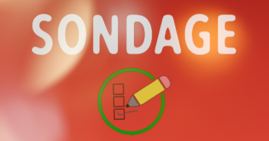 📊 GRAND SONDAGE : Quel est VOTRE Domaine IT ?