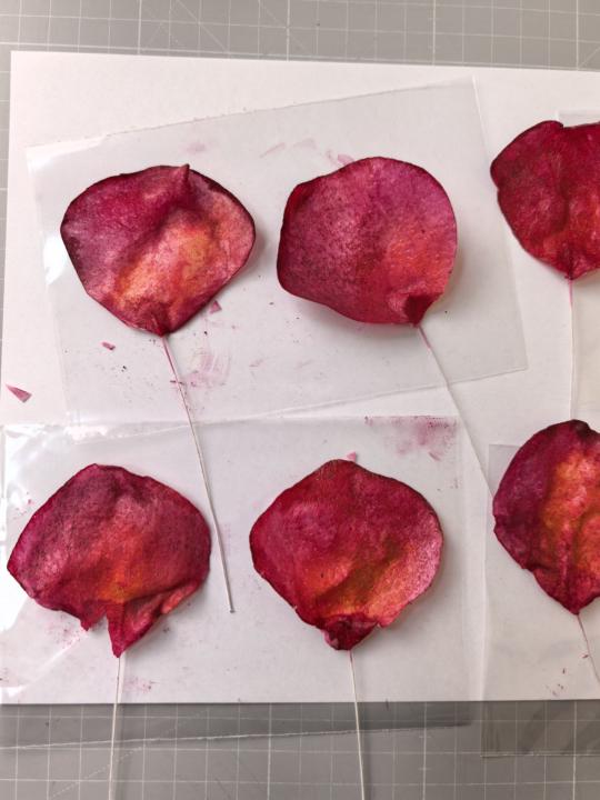 New Masterclasses : Flowers 