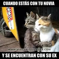 Reyna Sullca h