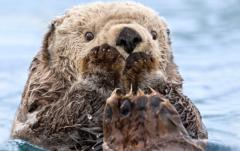 Christopher Paidhrin