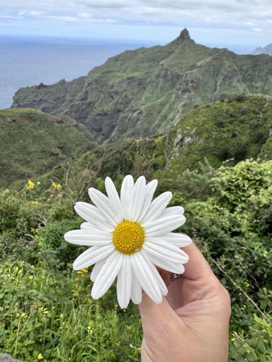 Day 1 💚 Opening the Journey in Anaga