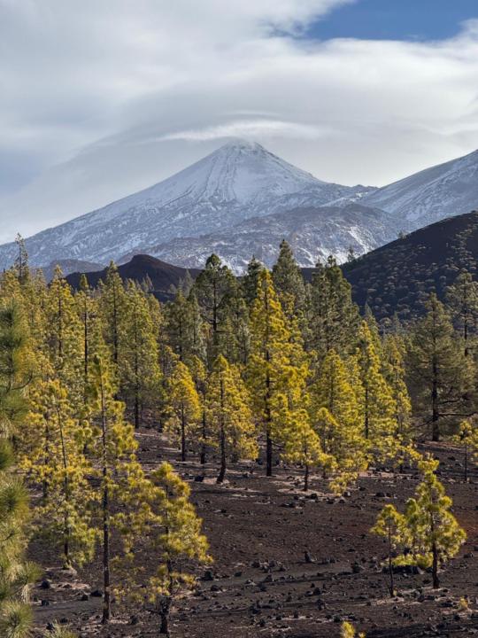 ✨ Sharing a Beautiful Moment From Our Reiki Retreat in Tenerife