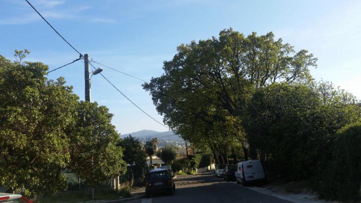 Louis-Marie Vergnault