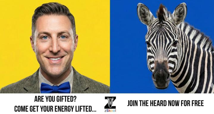 zSkool for the Gifted