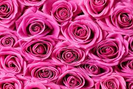 Nguyen Giang Huong Tran