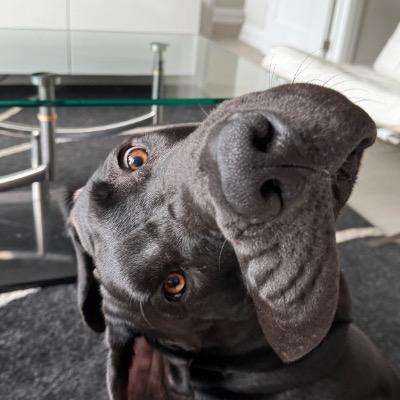 Mark Dienstmann