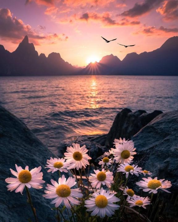 Karina Hettrich-Keller