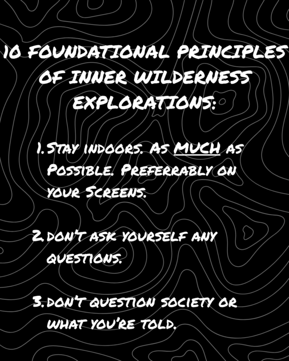 Foundational Principles of Inner Wilderness Explorations