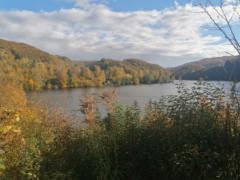 Andrea Bubelínyová