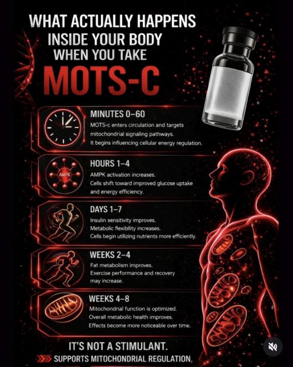 MOTS-C 