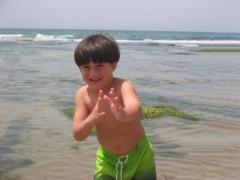 Tal Siton