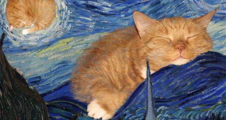 內在力量星球🪐Follow your heart