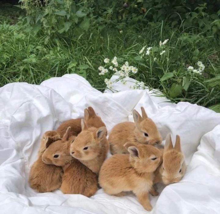 Monissa Smarnygth Barthe