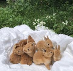 Monissa Smarnygth Barthe