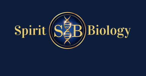 SpiritBiology gallery image