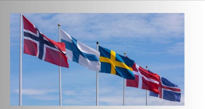 Norske / Nordic Skoolers